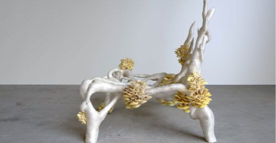 Mycelium chair