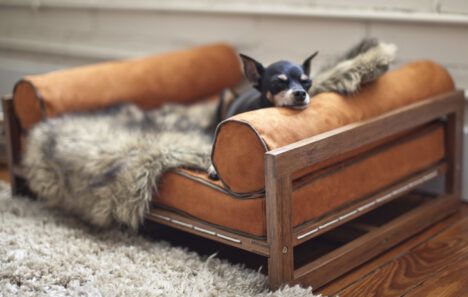 upscale dog bed