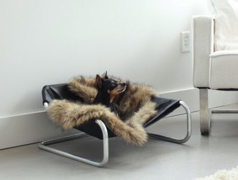 minimalist pet furniture