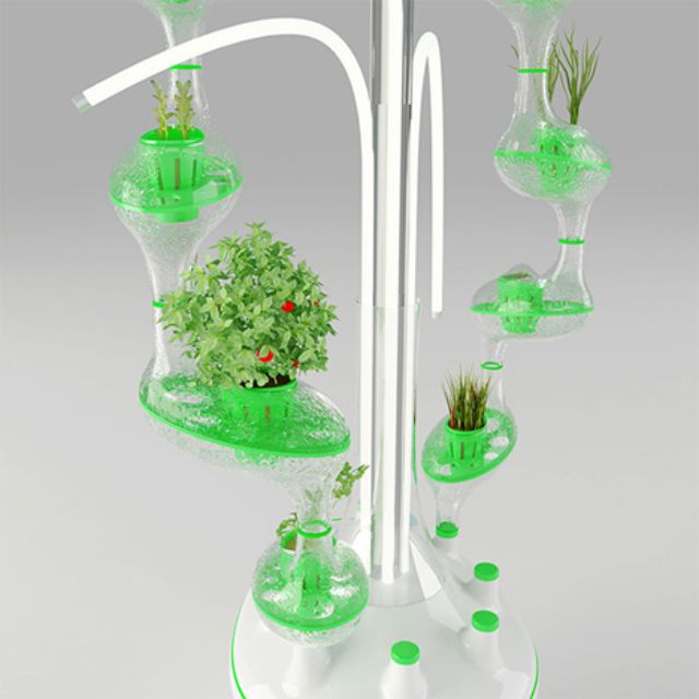 hanging-plants-hydroponic-garden