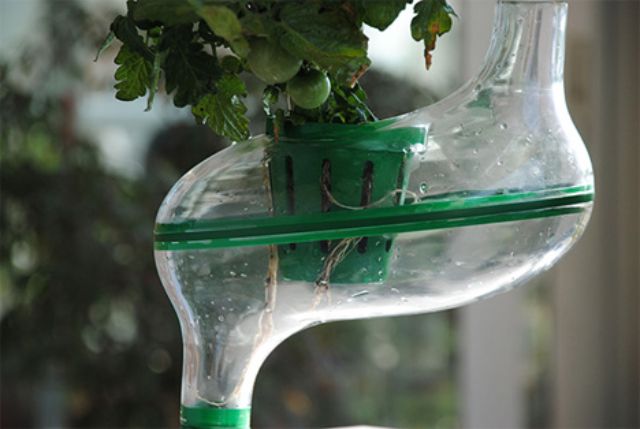 hydroponic-indoor-garden