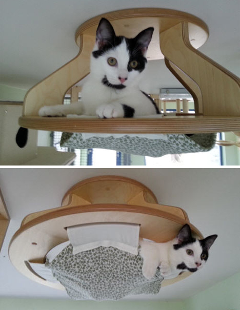 Modular Kitty Playground Gives Cats A Whole Room Of Fun