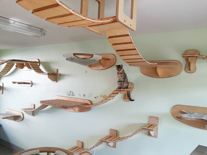 goldtatze cat furniture