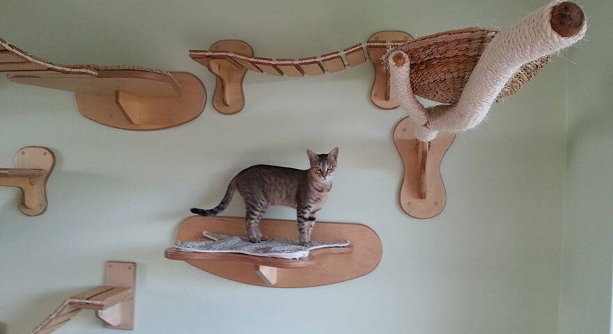 goldtatze cat play furniture wall mount