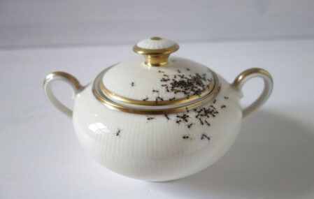 Ants on fine china by la philie realistic