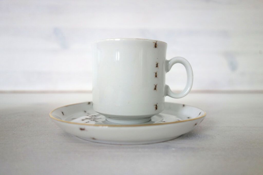 fine china hand painted ants teacup