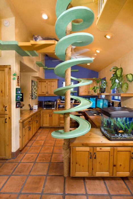 trillium cat house kitchen