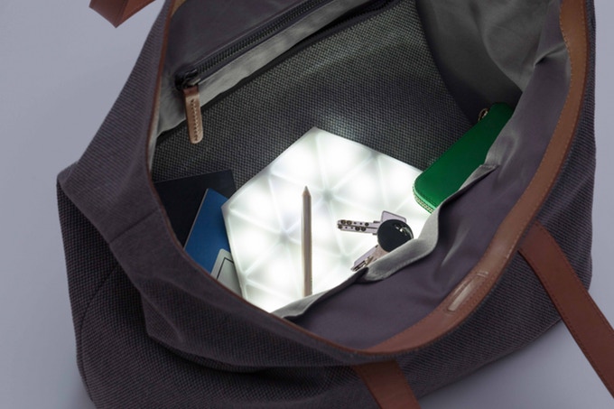 Kangaroo light in purse