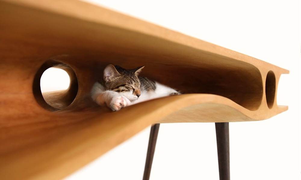 modern table cat furniture