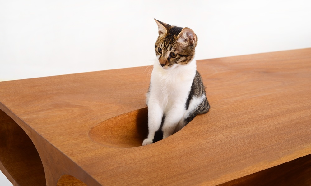 modern table made for cats