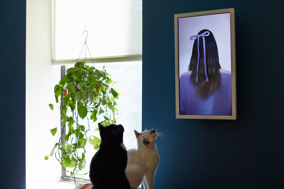 Electric Object with cats
