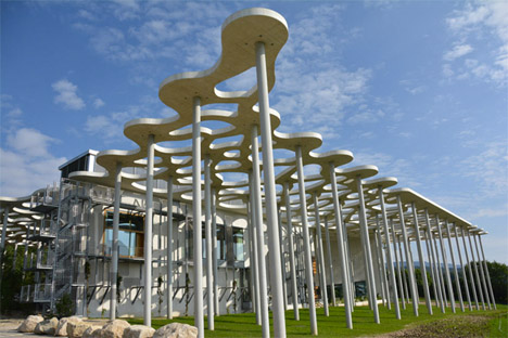 Dining canopy