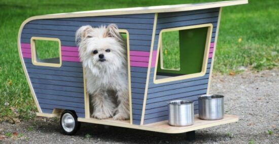 cute dog trailer house