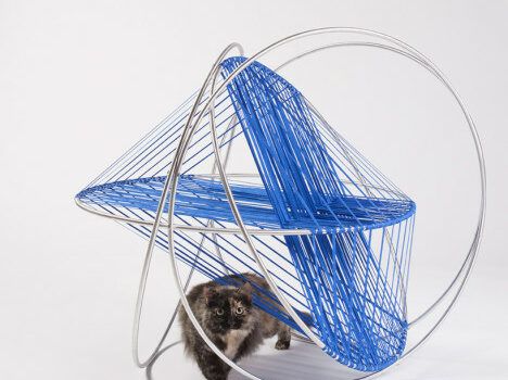 Cat architecture