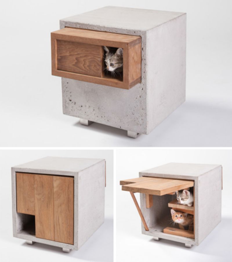Designer cat houses Architects for Animals concrete