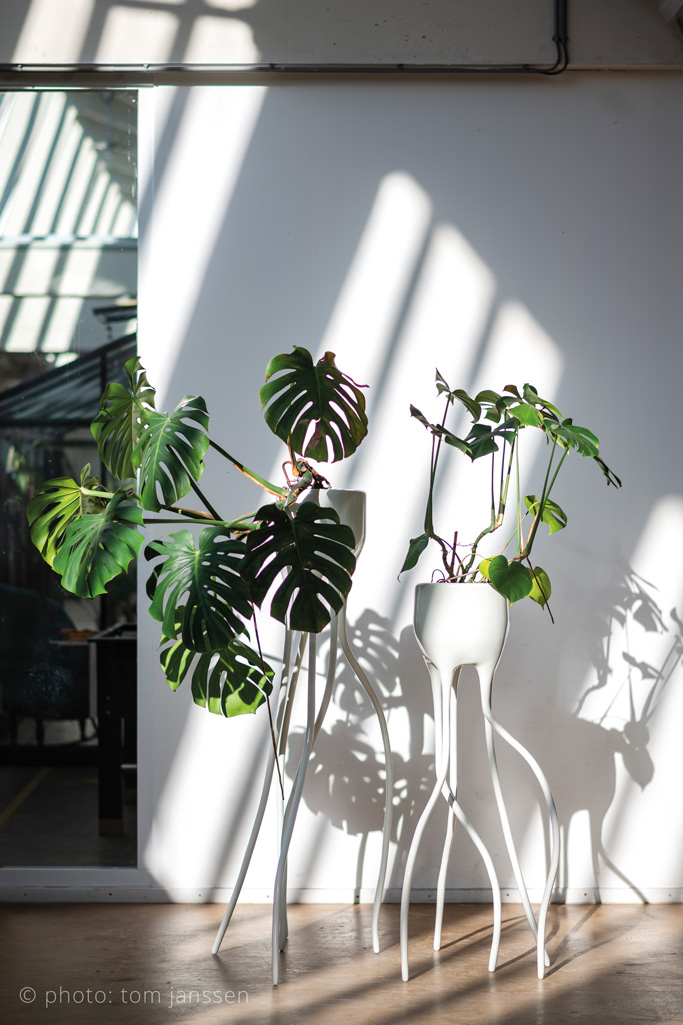 monstera plant pot trio shadow