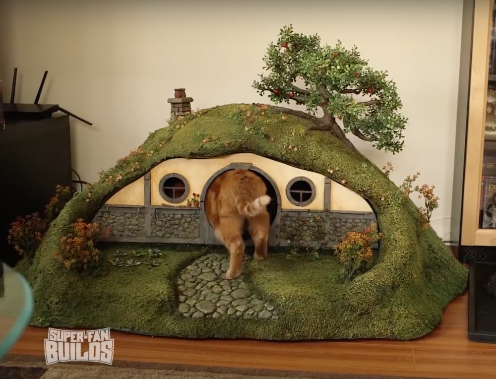 Cat using hobbit house