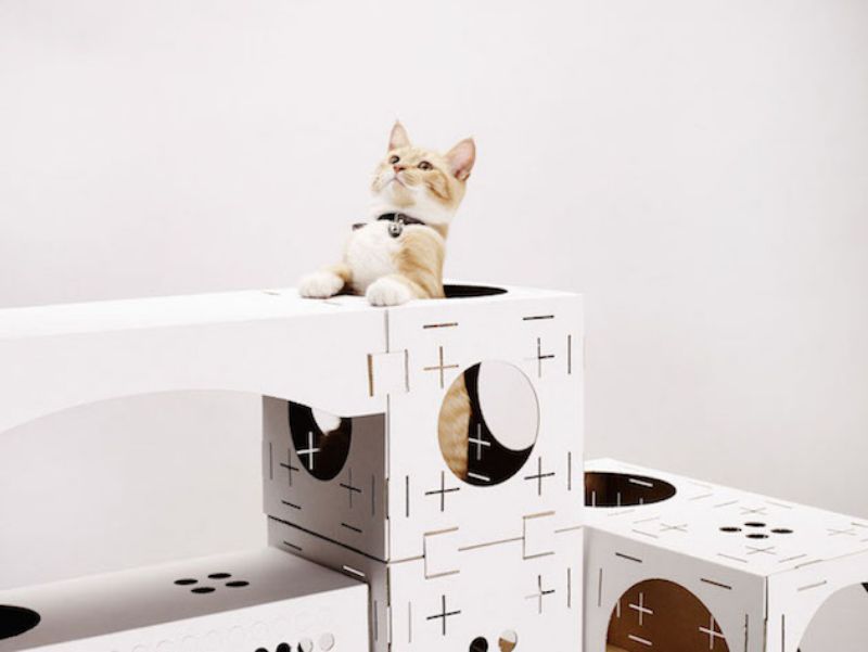 Poopy Cats boxes cardboard playhouse in use