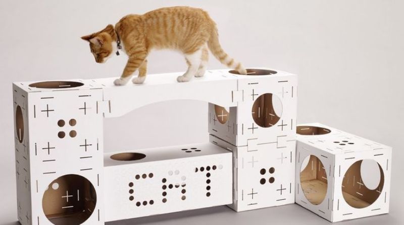 Poopy Cats cardboard box playhouse