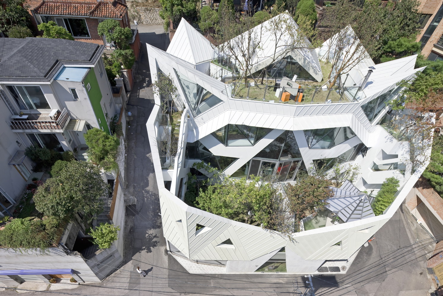 Blooming House from the top