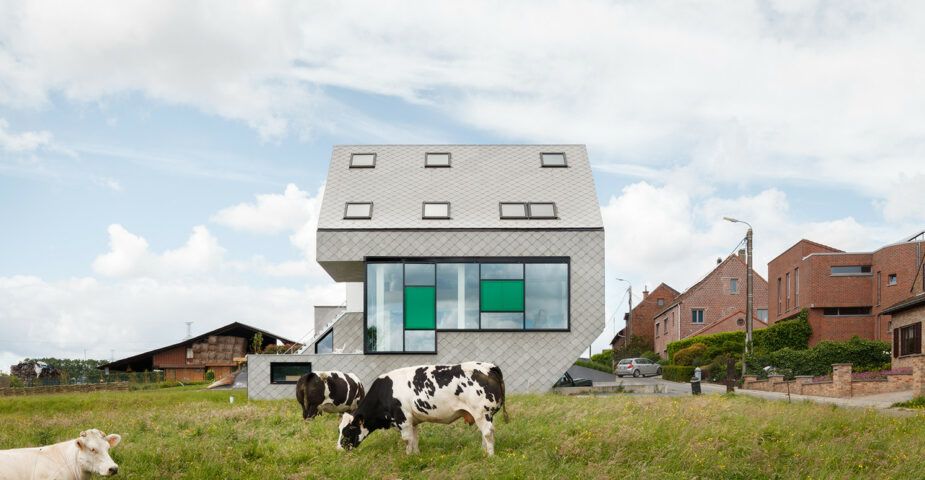 leeuw house with cows