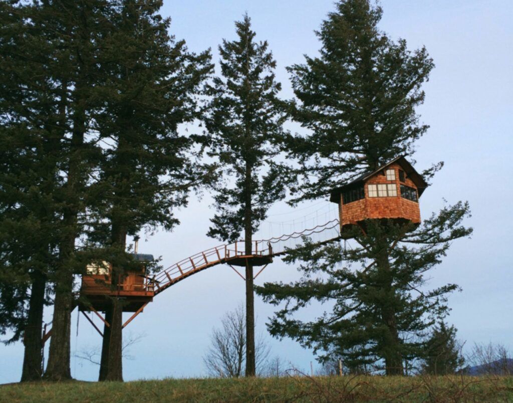 Treehouse with its own Skate Park