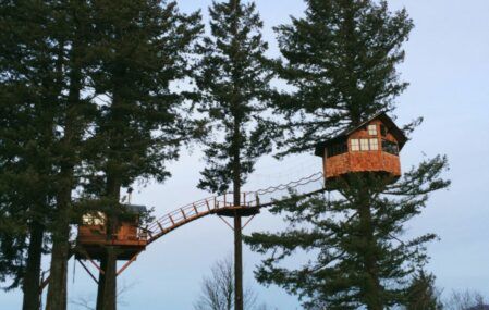 Treehouse with its own Skate Park
