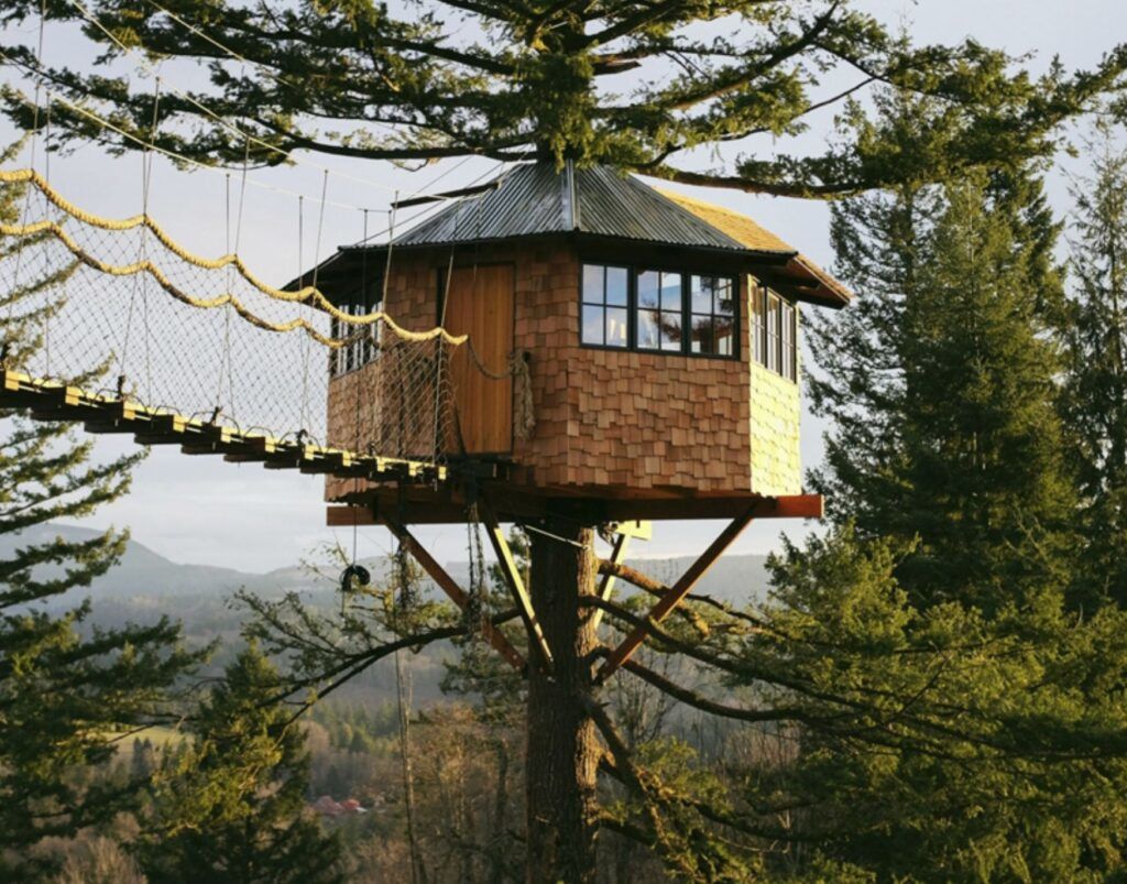 Treehouse with its own Skate Park upper