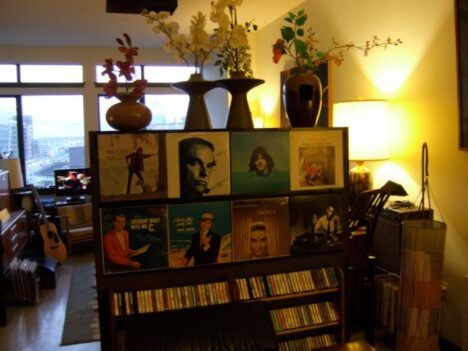 vinyl records room divider