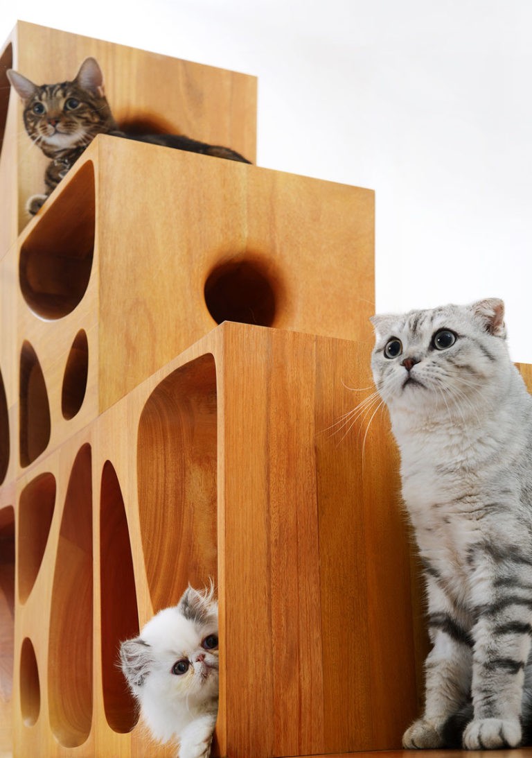 CATable Modern Modular Wooden Furniture for Cats Designs & Ideas on