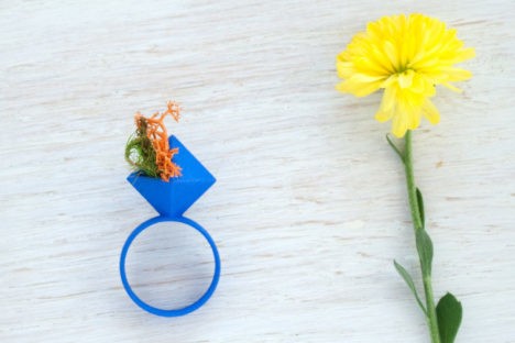 Wearable Planter Ring