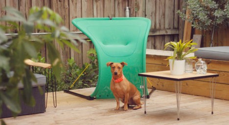 Green Suzak Chair with dog