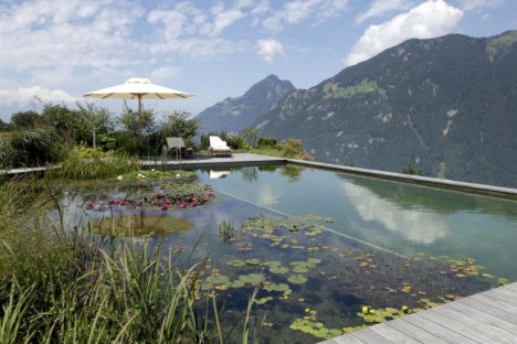 Biotop swimming lake with mountain view