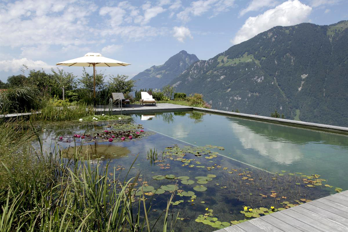 Biotop natural swimming pool with mountain view