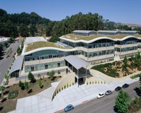 Hydrotech Garden Roof example at 901 Cherry Avenue (The Gap) in San Bruno, CA