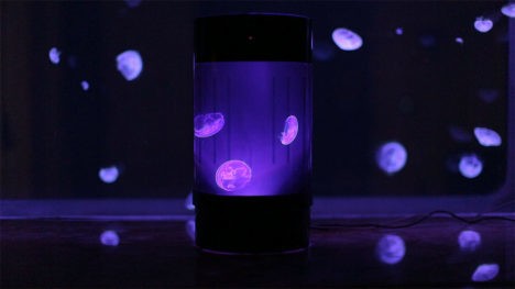 Jellyfish Cylinder Nano Aquarium