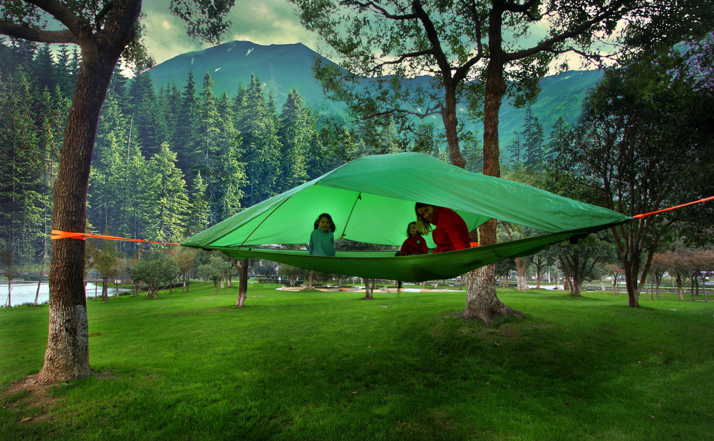 tentsile family tree tent