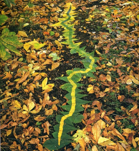 Andy Goldsworthy's land art and sculptures are deliberately transitory in nature
