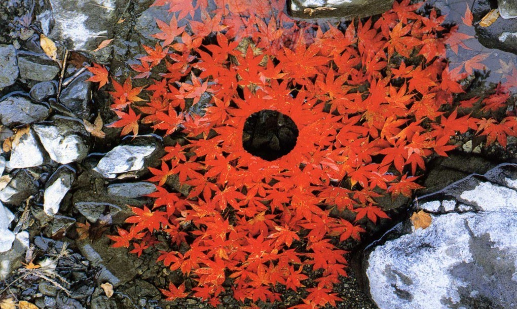 andy-goldsworthy-leaves