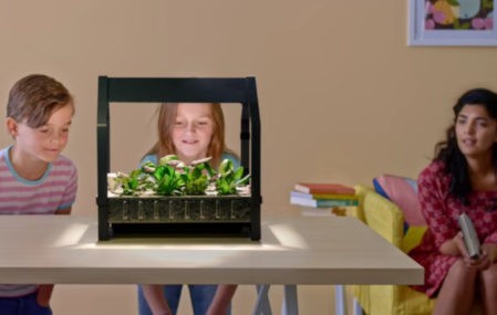 Watch your IKEA indoor garden grow