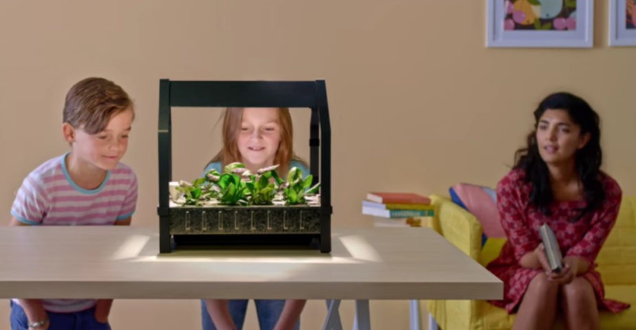 Watch your IKEA indoor garden grow