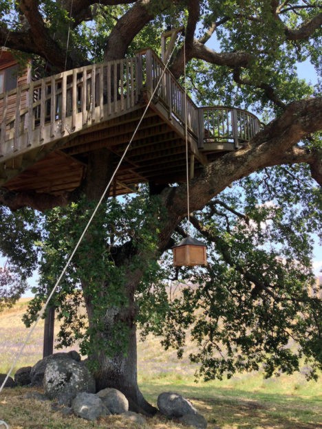 Suite Bleue Treehouse in Italy