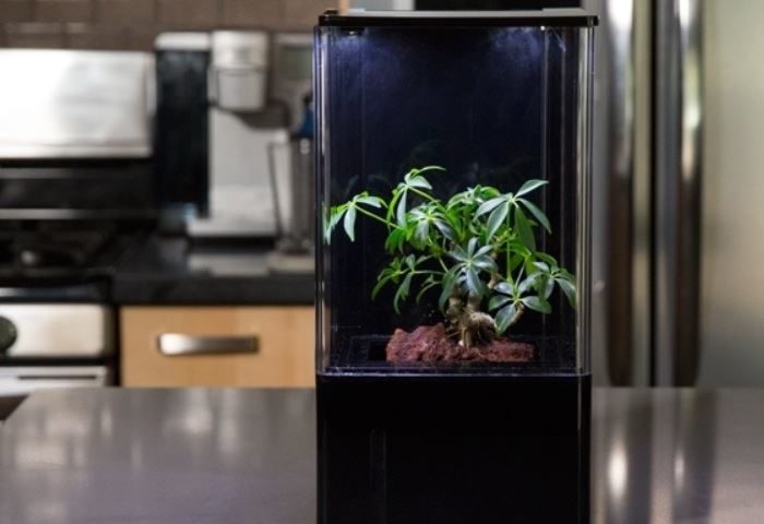 EcoQube home hydroponics