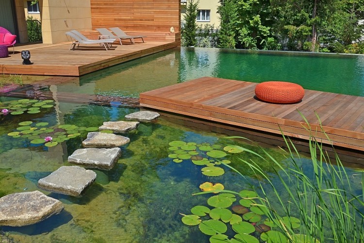 natural swimming pools lily pads