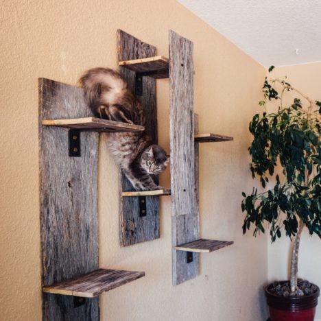 eco cat furniture
