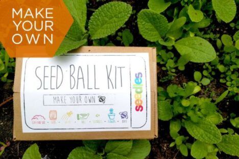seed ball kit
