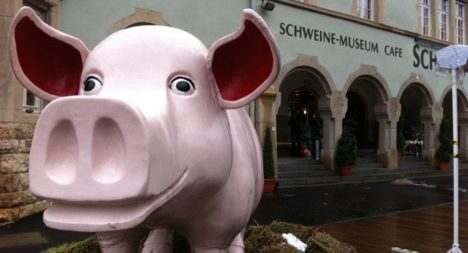 Pig Museum