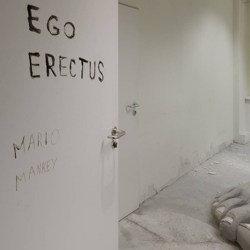 Ego Erectus - Mario Mankey