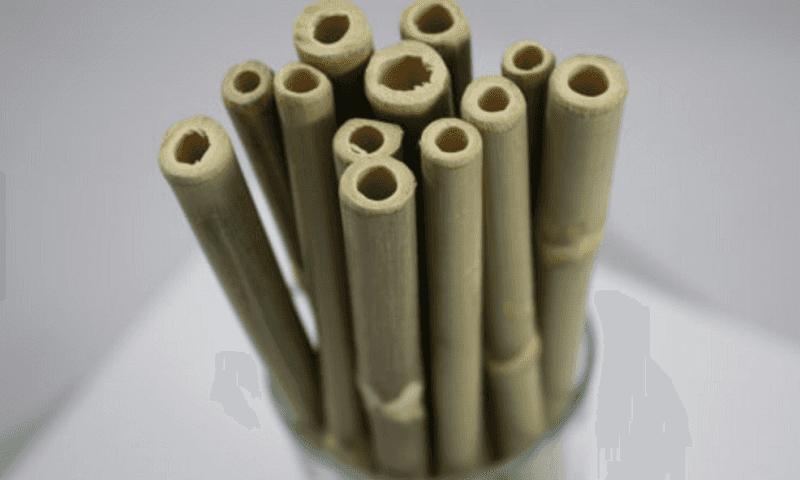 Bamboo Straws - AXC Supply