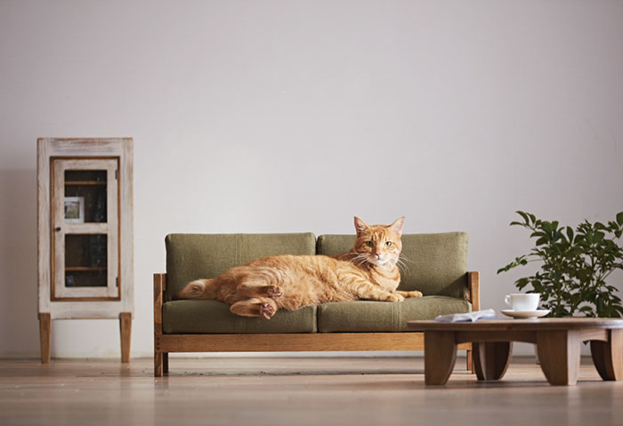 craftsman MADE Cat Furniture